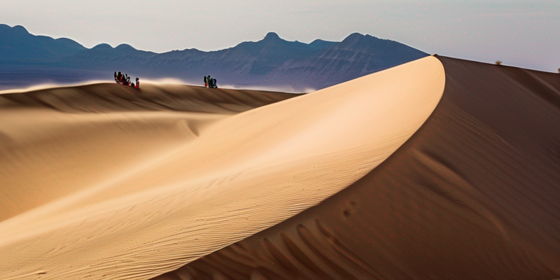 Desert Dune Sandboarding Adventure